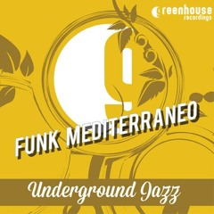 FM feat Jazz Of Guy - Underground Jazz (Greenhouse rec)