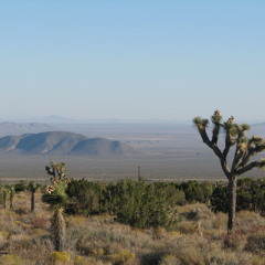 2015