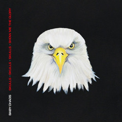 Baby Chaos - Skulls, Skulls, Skulls, Show Me The Glory - Album Sampler