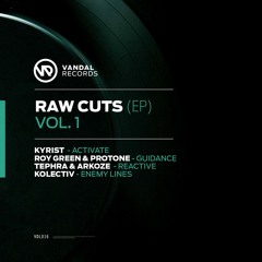 VDL016EP - RoyGreen & Protone - Guidance (Original Mix)