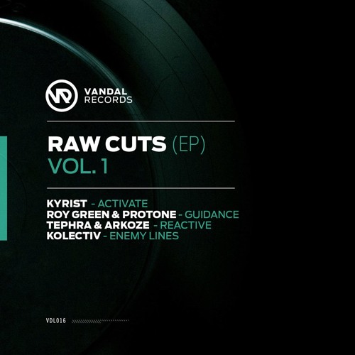 VDL016EP - RoyGreen & Protone - Guidance (Original Mix)