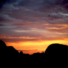 Behutsam,leise nimmst du fort - Cover Weber/Seeger