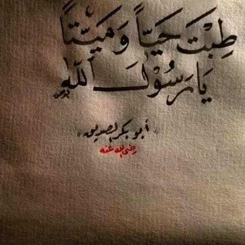 هلّ ضياءٌ أسعدنا - معتصم بالله العسلي