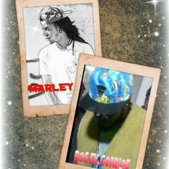 Eastside Rattle Snake  at Her T-shirt ft. Marley Mars