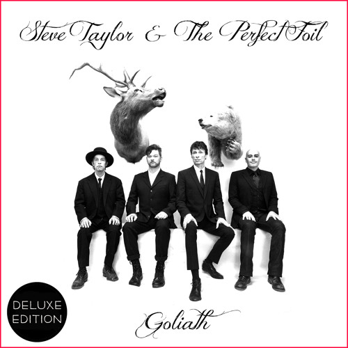 Comedian - Steve Taylor & The Perfect Foil