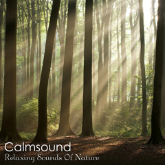 Relaxing Sounds Of Nature Preview - Calmsound.com