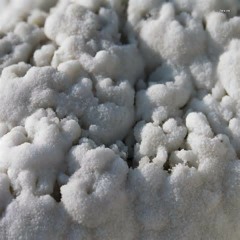 Salt