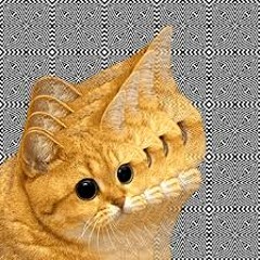 the world is a disaster