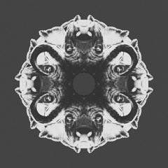 Nicolas Meyer - Cow Homework (Jus Nowhere Remix) [Kaleido]