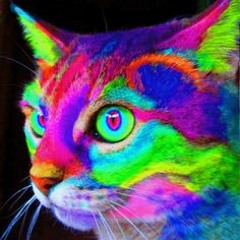 Excision Vs. Skrillex, Raga Kitty (Hillybampton remix)