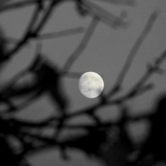 Romuald Brüdke - Wszystko - 31.03.2015, 03.30 [so emotional live]