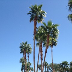 Take Me To Church- Hoizer Cover