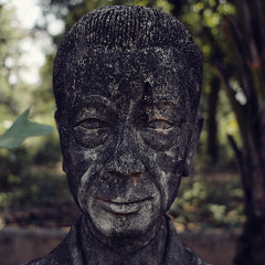 ZK 'Carve Your Marble' (Dee.F Remix)