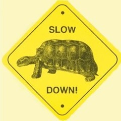 FlyRy ~ Slow It Down (Prod. By Alpha Music)