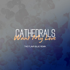 Cathedrals - Want My Love (The Flavr Blue Remix)