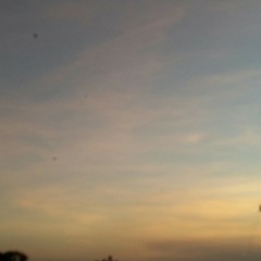 Best thing i never had