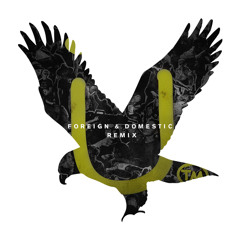 Jack Ü ft. Kai - Mind (Foreign & Domestic Bootleg Remix)