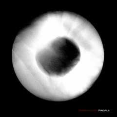 Amberclock - Radials (demo)