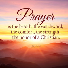 Siasi Tonga 4  at Canterbury