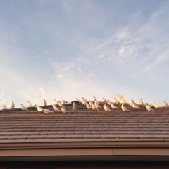 Ah Yeah Push It - Djdegraaf Remix