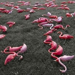 Death Flamingo-Plugger