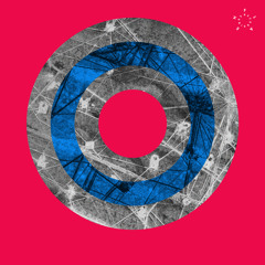 Bodyscrub & Pascal Nuzzo - Silver
