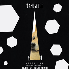 Tchami - After Life [Feat. Stacy Barthe] (Alex of Ellis Remix)