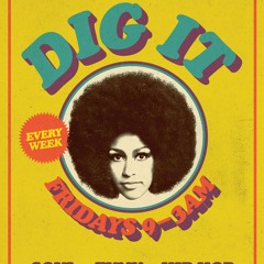 DIG IT Promo Mix