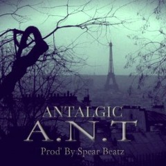 Antalgic - A.N.T (Prod by SpearBeatz)