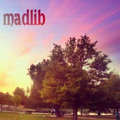 Madlib - Soon The New Day (SynicSounds Remake)