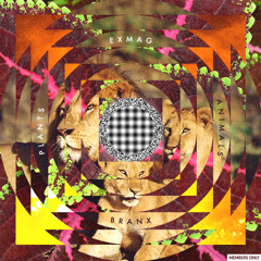 Exmag and BRANX - Ten Thousand Clams (What Does This Mean?) w/ Eric Benny Bloom and illumntr