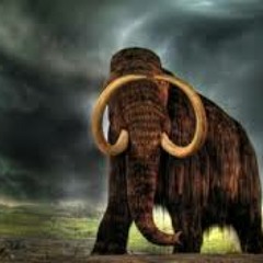 Dimitri Vegas, Moguai & Like Mike - Mammoth ( Valiox remix preview)