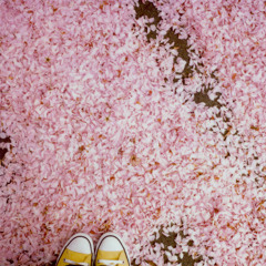 Self-Love Visualisation