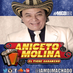 Aniceto Molina Mix