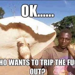 Wirey Wizard's Thai Mushroom Mix