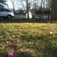 Better Daze ft. Guess Who