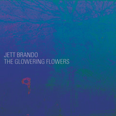 Green Eyes In The Blue Hour