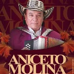 Aniceto Molina Mix