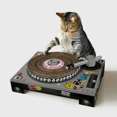 turntable noise