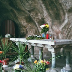 albert park platters