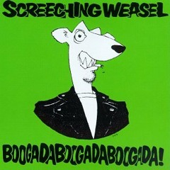 Screeching Weasel - What We Hate