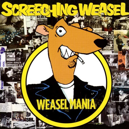 screeching weasel