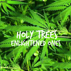 Holy Trees (EnO)