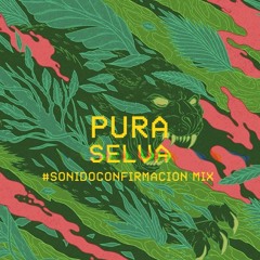 PURA SELVA / Mix Sonido Confirmacion