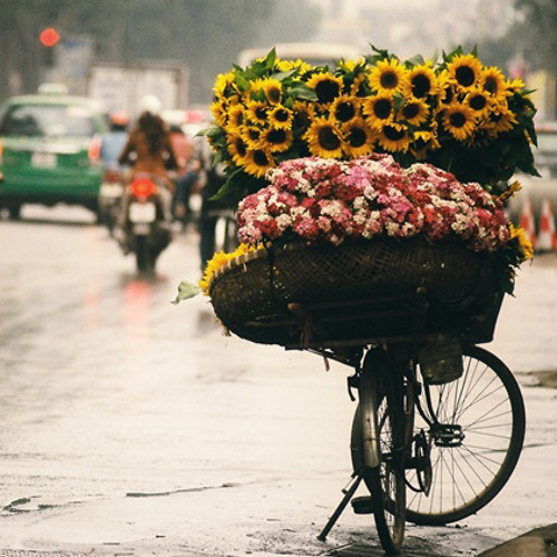 Hà Nội Mùa Lá Rụng