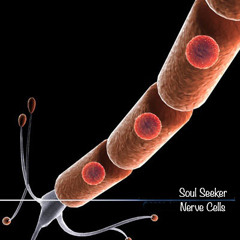 Soul Seeker - Nerve Cells (TIP Records - 2017) Unreleased
