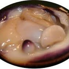 STBB #421 - The Pune Tang Clam