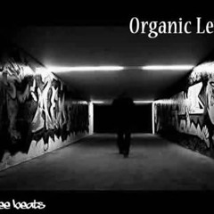 Organic Level - Djee Beats