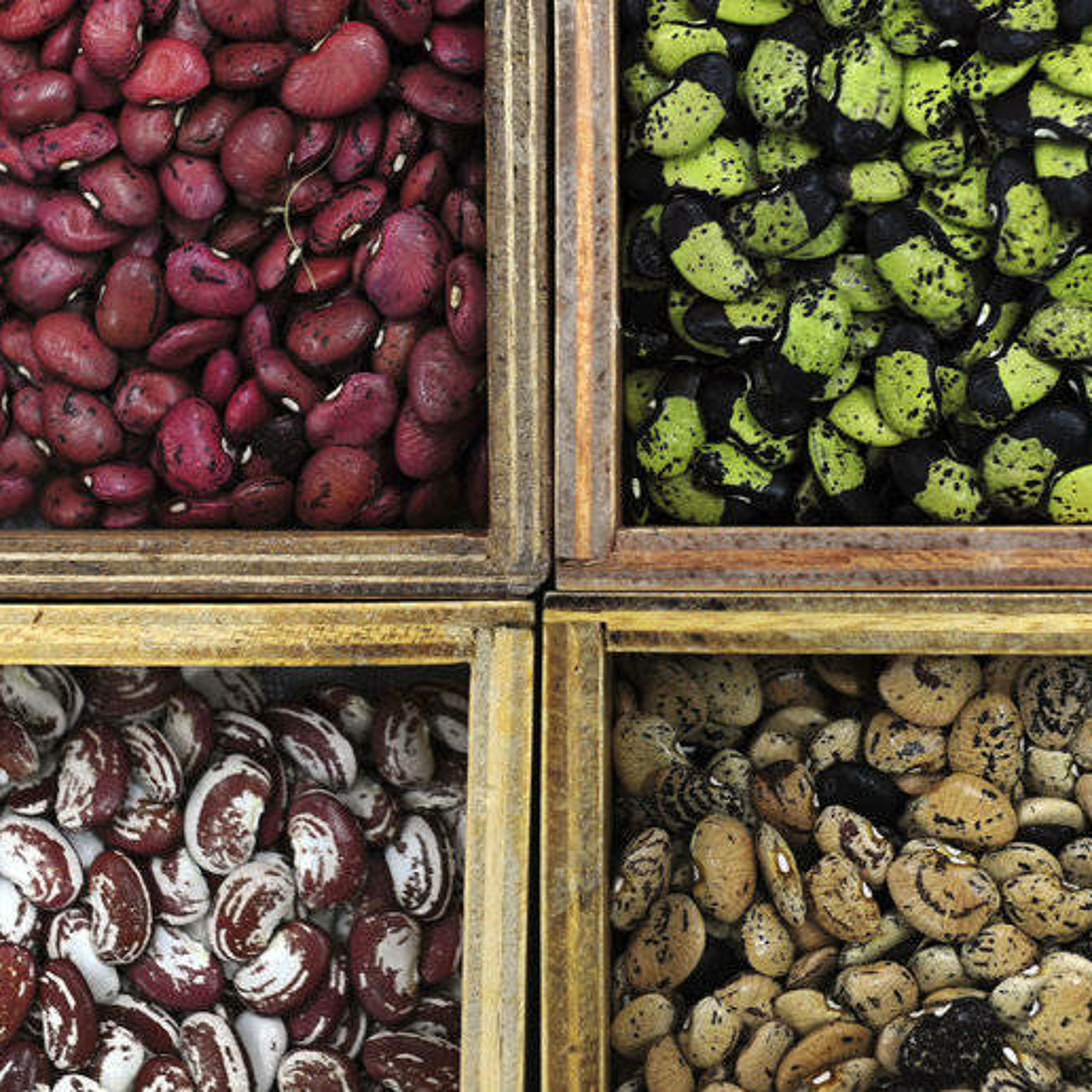 Santé, Science et Développement