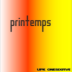 Printemps  -  House Mix  -  Mixtape by UPK